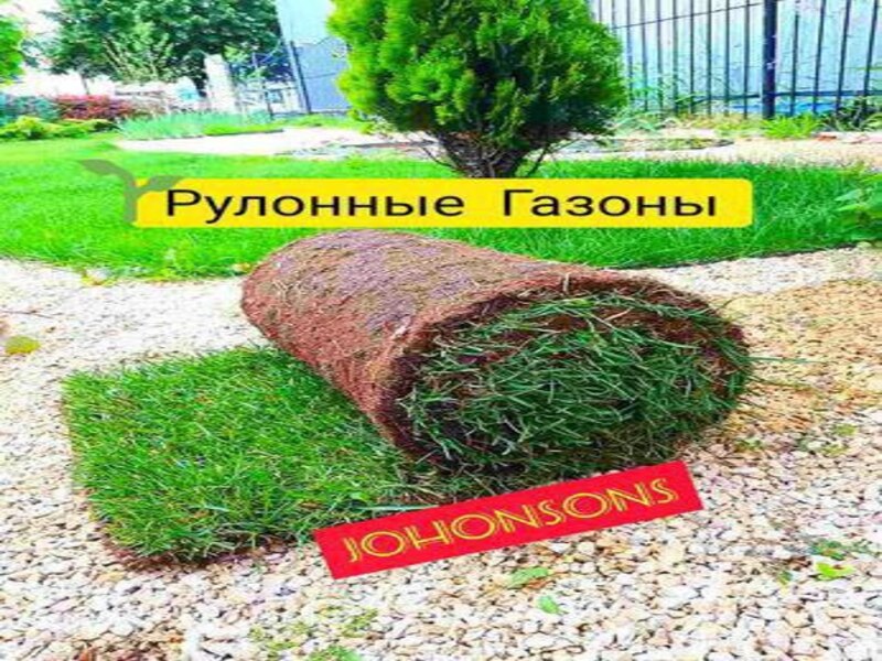 photo_2025-04-06_09-46-45 (2).jpg