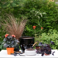 flower-power-container-style_inspiration_featured.jpg