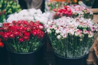 farmers-market-flowers-florist-spring-gardening.jpg