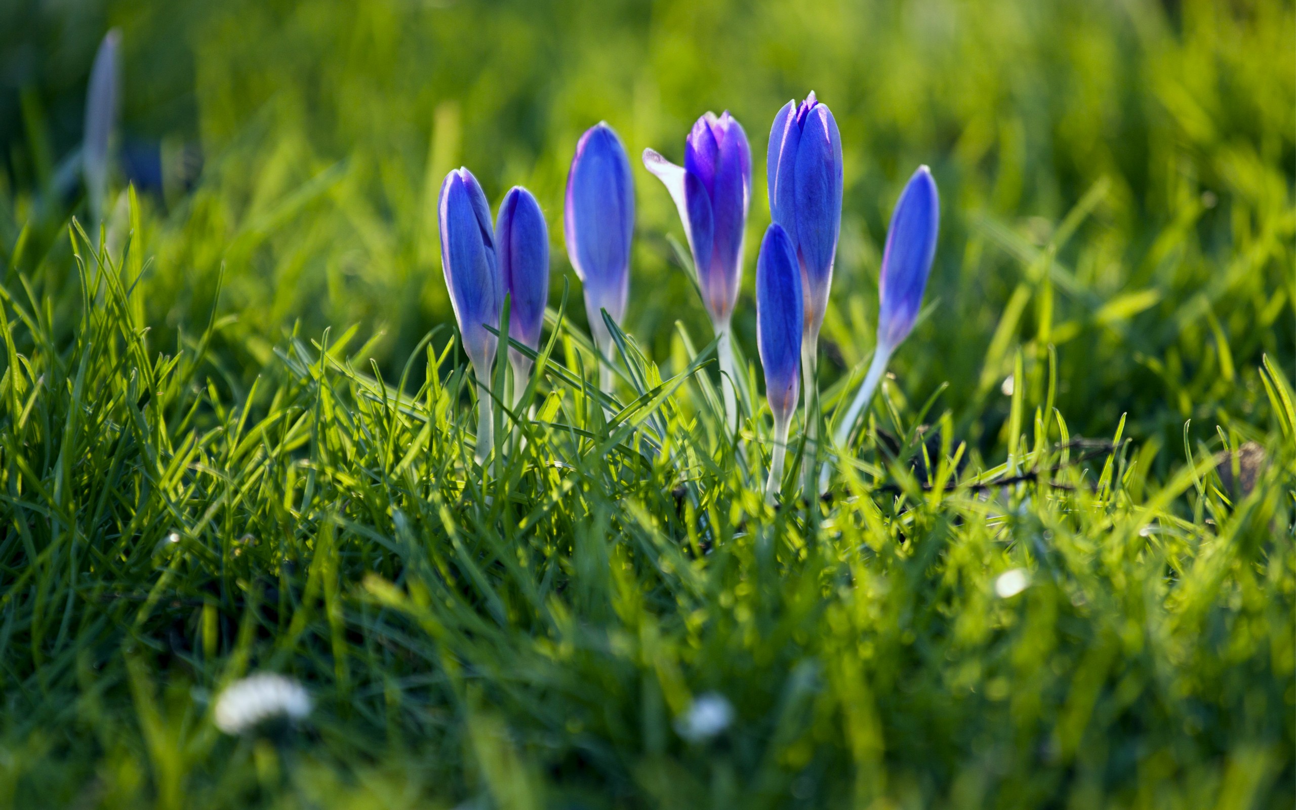 Image00002.jpg