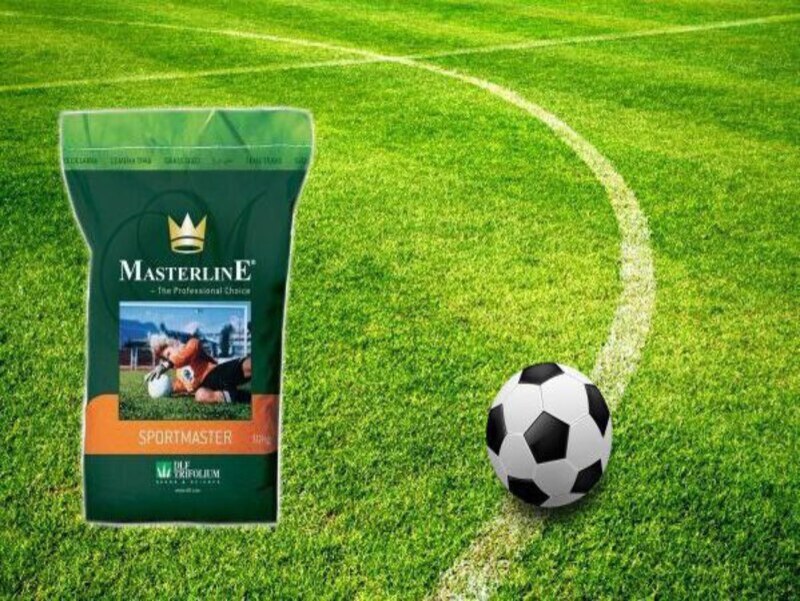 77777777777777777 (1).jpg