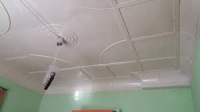 паепеаонеоне.jpg