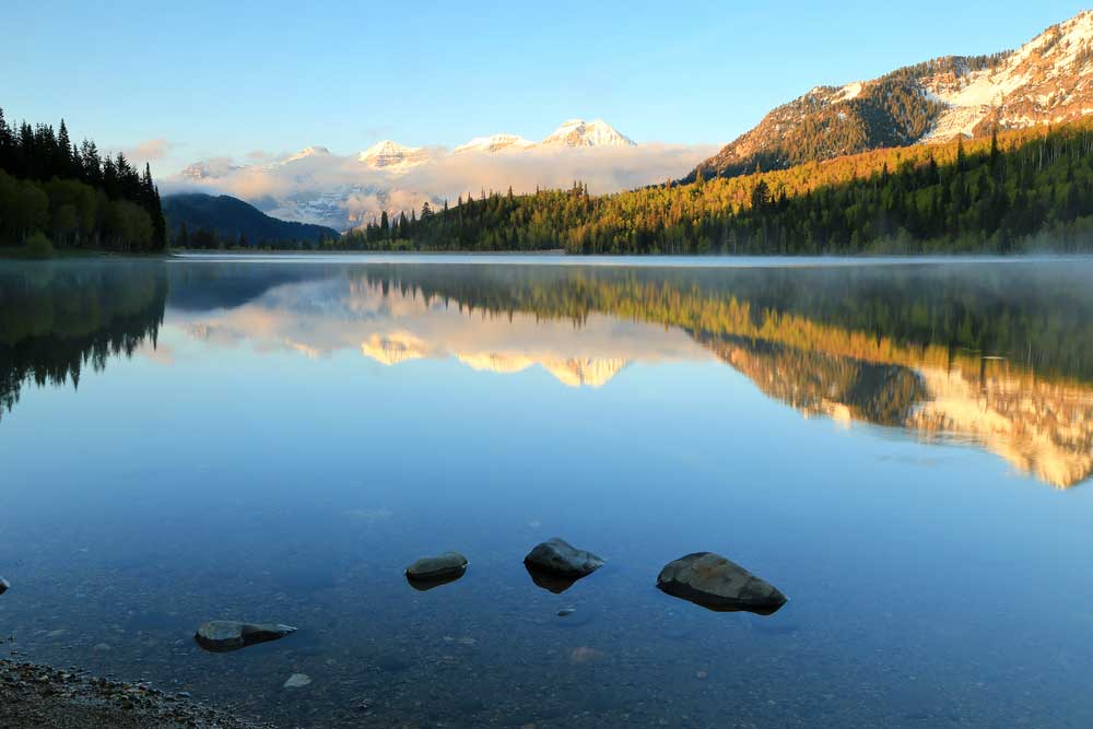 lake_281848937_1000.jpg