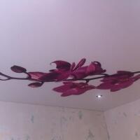 nophoto