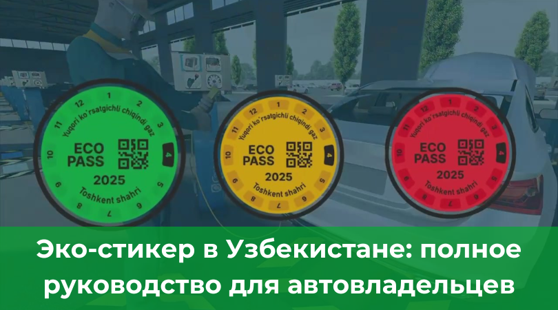 Эко-стикер на авто как оформить, сколько стоит и когда начнут штрафовать