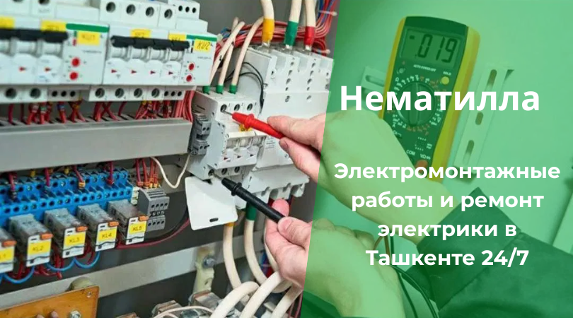 Профессиональный электрик Нематилла