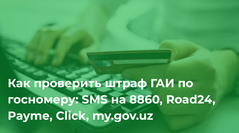 Как проверить штраф ГАИ по госномеру