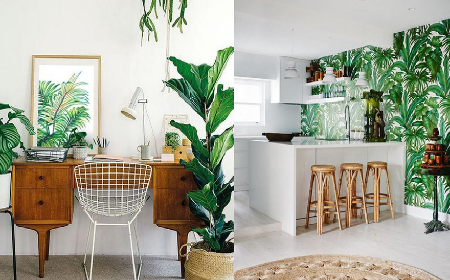 Зелень в интерьере Как расставить зелень в квартире