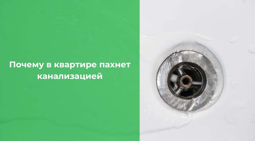 Почему в квартире пахнет канализацией