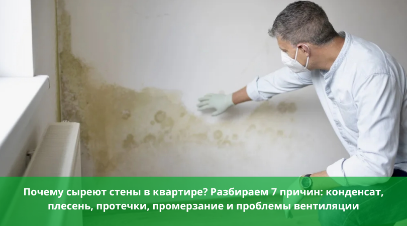 Почему сыреют стены в квартире &mdash; причины сырости и плесени