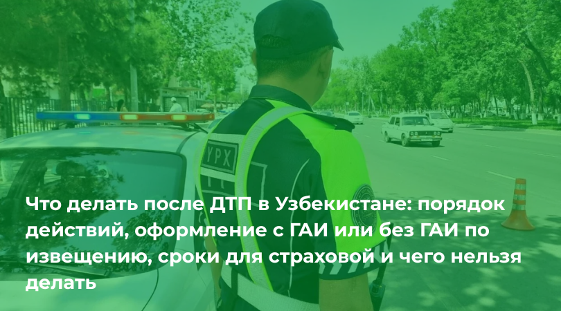 Что делать после ДТП