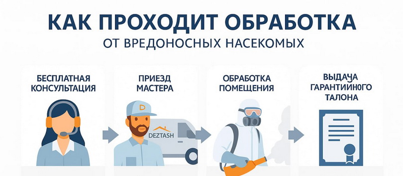 Этапы работы Deztash Пошаговое объяснение процесса: от бесплатной консультации до выдачи гарантийного талона.