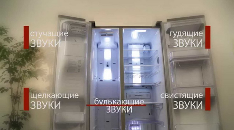 Звук компрессора, писк, реле, с краткими подписями Звуки холодильника: гул, щелчки, писк что означает каждый?