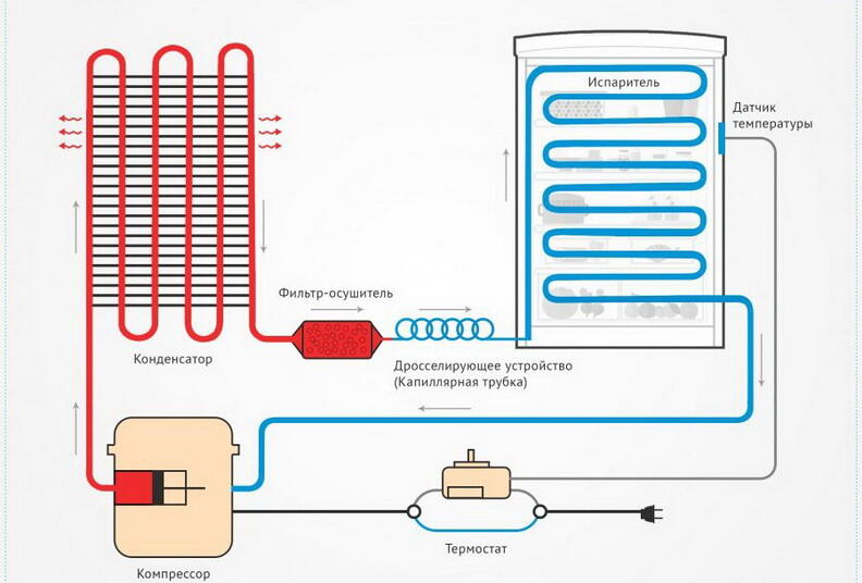 Etik kiygan elita porno